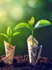 돈- 야누스의 두 얼굴