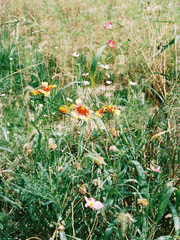 [9.z] 네임리스 드림썰