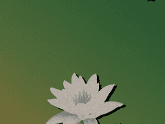 덧칠된 세계에서 나뭇잎이 흔들린다는 것은