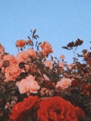 우리 사랑했나요?[Did we do real love?]