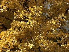 뉴 노멀과 사랑 만능 주의