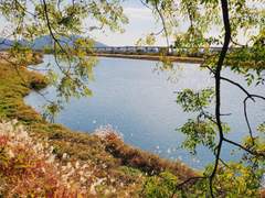 안녕, 사랑하는 나의 그대.