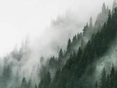 만일 네가 나를 두고 날아간다면