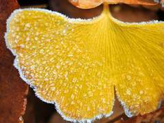 무조건 읽기/소통, 그 은유의 불빛/이도은