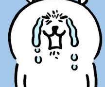 무르 친애스 후기