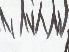 [주술회전 x 충사] 자화화(1)