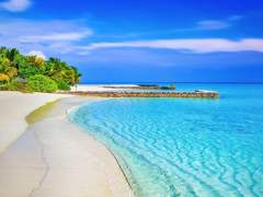 우리에게는 幸福만이.