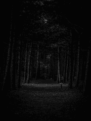 리얼 나이트메어