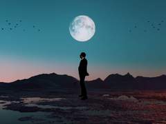 호감은 틀리지 않는다 (59화 - 월하미인)