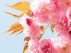 [현제유진] 고백