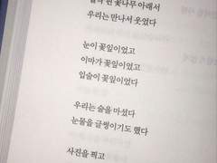 거짓말, 그래서 너를