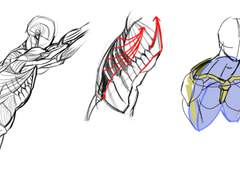 2021년 11월 20일 (토) <부위>