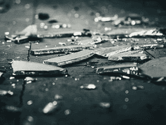 ㅡ 𝐉𝐮𝐬𝐭 𝐲𝐨𝐮𝐫 𝐬𝐩𝐲. ㅡ 그리하여.