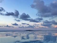 사랑은 우리팀 덕아웃에서