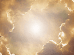 온 다현 / 17 / XX