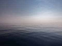 [발신자 표시 제한]