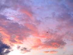 [몽키키드] 노을에 깃든