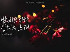 마기로기 / 밤꾀꼬리와 장미의 노래