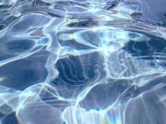 꿈인듯 다시 만나