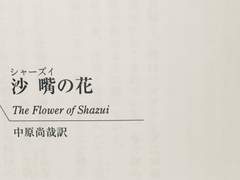 [번역] 사주이의 꽃 _천주판