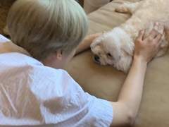 편한연애하는 이동혁 보고싶다