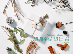 월계수로 만든 꿈