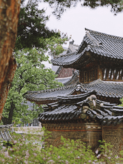 [온원금릉] 위언(僞言)