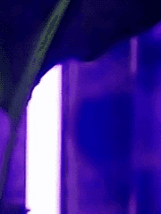 반인반수 매니저가 되었다