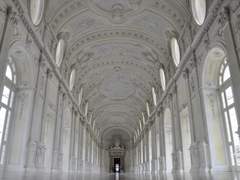 [규만도현] Gladiolus - 1