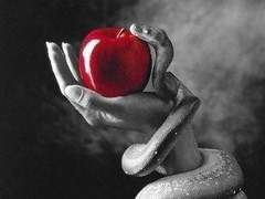 배우 빙의글 잔혹동화 백설공주 2화