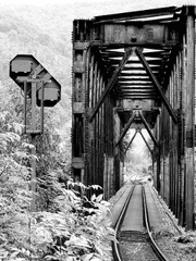 멸망한 세계의 아이들