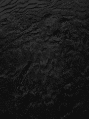 크리미널 마인드 잡담