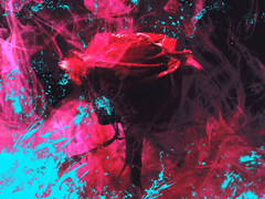 [성장후] 한윤우 23 남