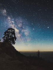 소원을 빌 수 있다면