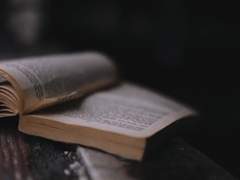 드랍 | B 알레르기