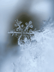 그를 부르는 이름