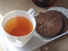 티포르테 윈터콜렉션: 캬라멜 누가