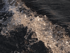 나의 바다에게 01.