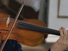 붕괴 중의 기록