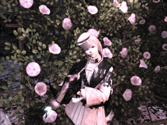 💖 언약 시트 💖