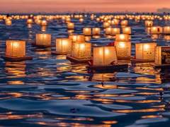 남도화 • XY • 시민팀 • 영매