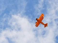 코코 | XX | 22 | 슈가글라이더