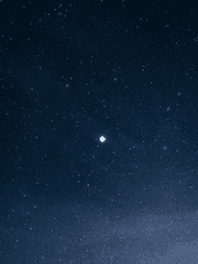 맙이노기(연성)