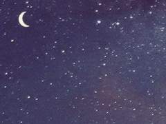 제 0장, 프롤로그