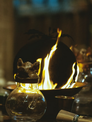 [해리스네] 고성