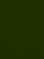 생선냄새증후군을 앓고 살아간다