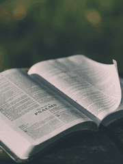 서브 남주가 파업하면 생기는 일