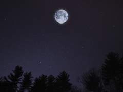 E. 책 못 읽는 레미