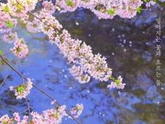 떨어지는 꽃과 흐르는 물