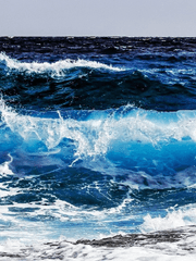 상트페테르부르크